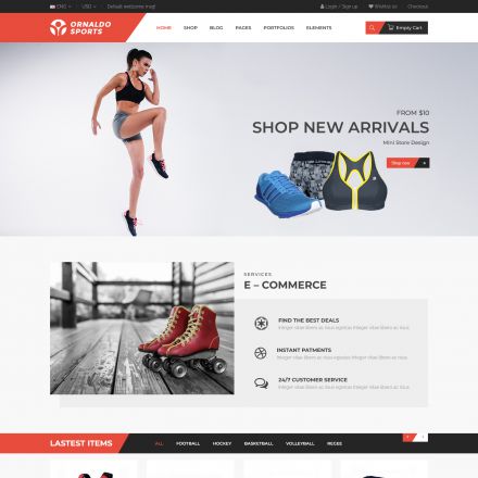 ThemeForest Ornaldo