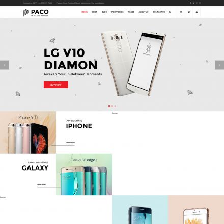 ThemeForest Paco