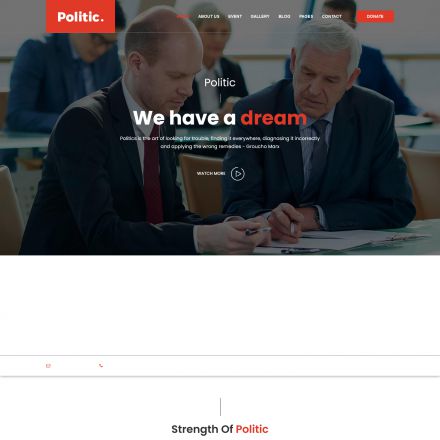 ThemeForest Politic