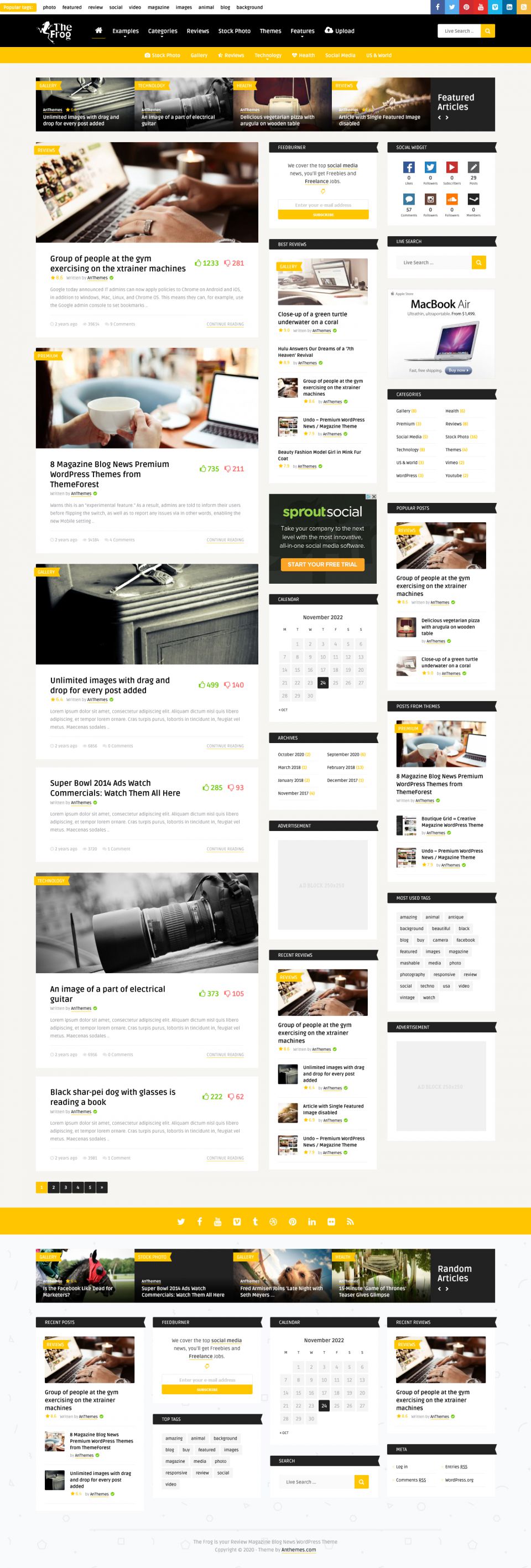 WordPress template ThemeForest The Frog