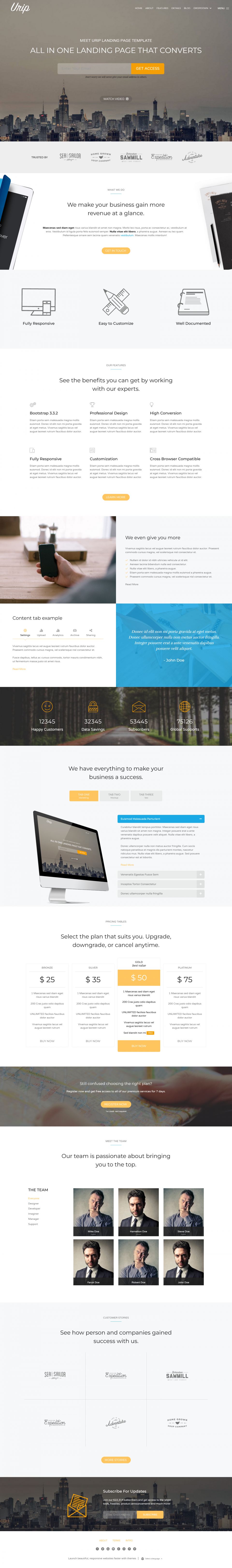 WordPress template ThemeForest Urip