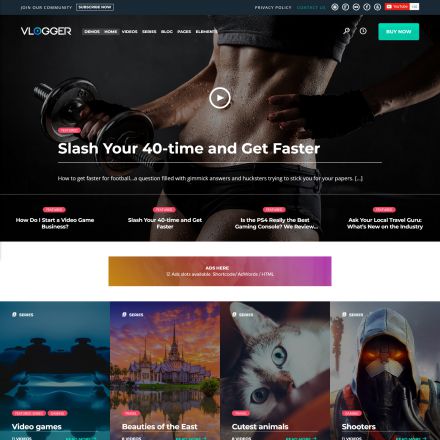 ThemeForest Vlogger