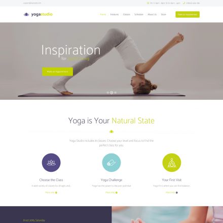 ThemeForest Yogastudio