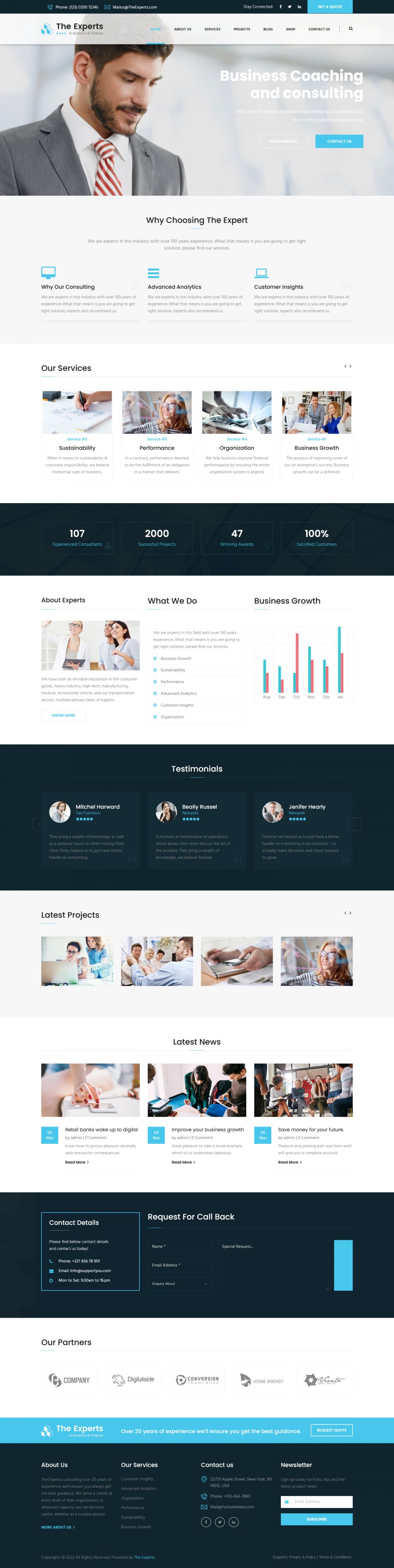 WordPress template ThemeForest The Experts