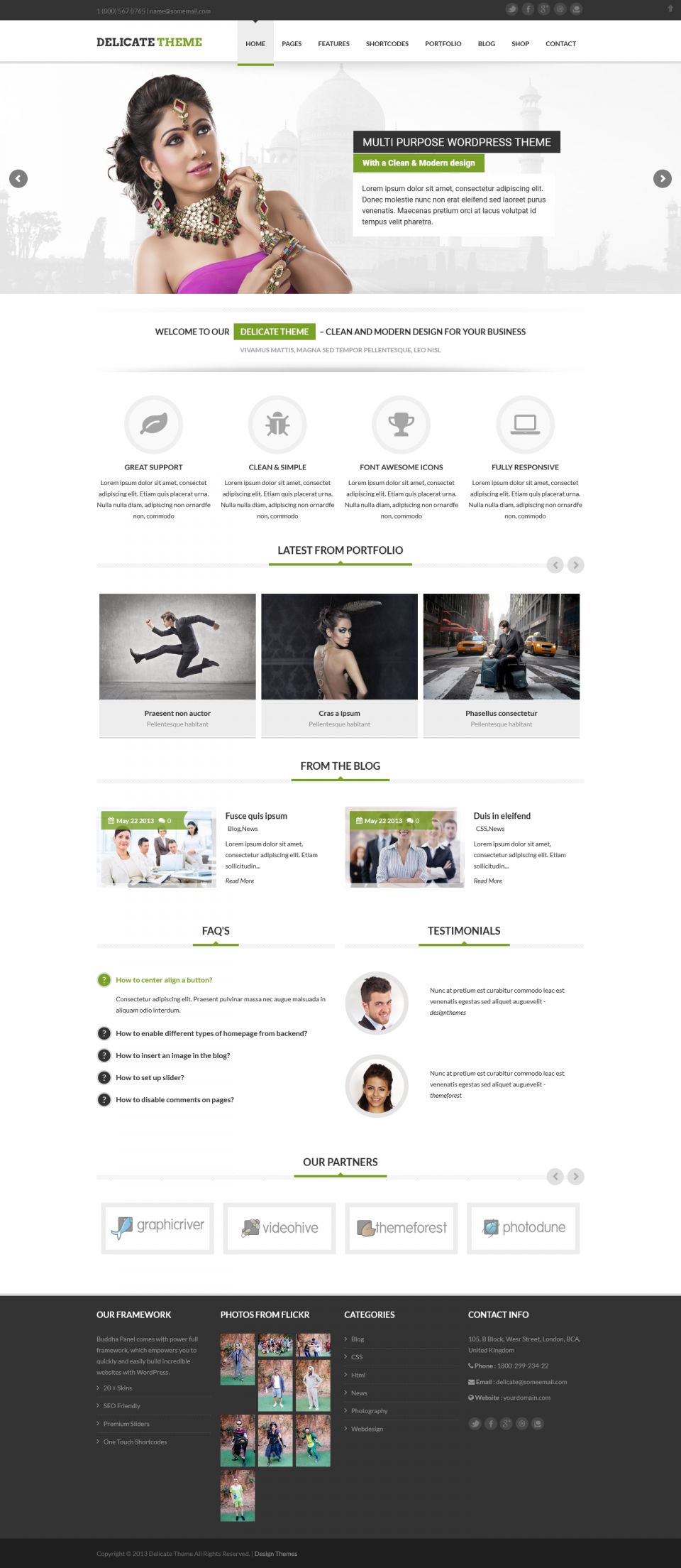 WordPress template ThemeForest Delicate