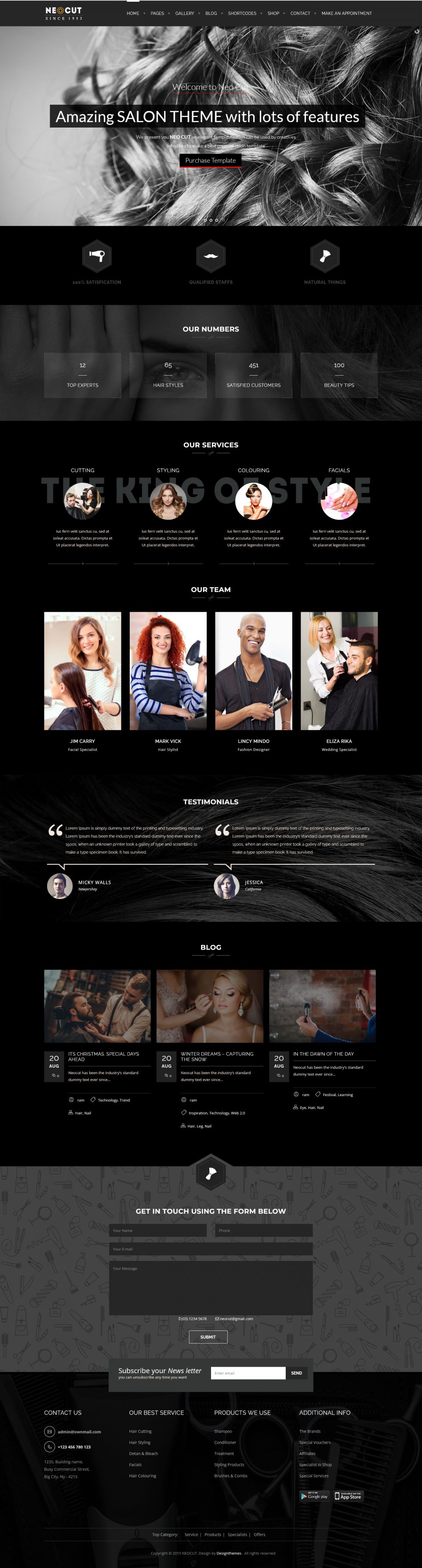 WordPress template ThemeForest Neo Salon