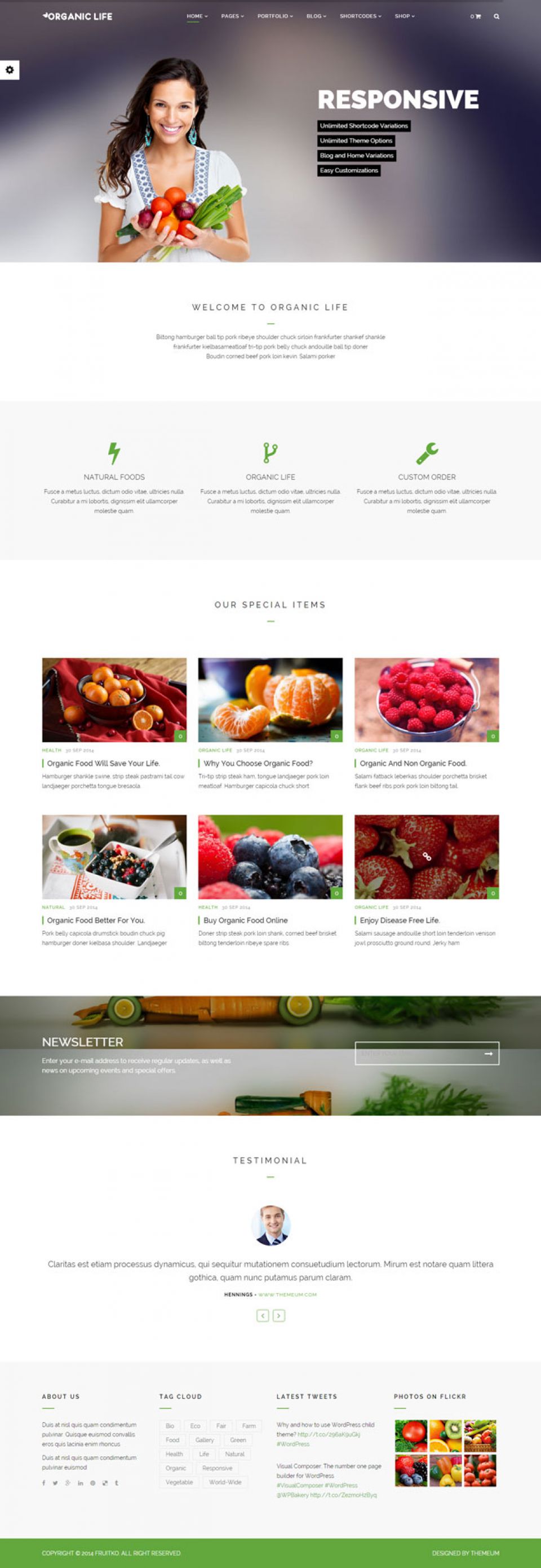 WordPress template ThemeForest Organic Life