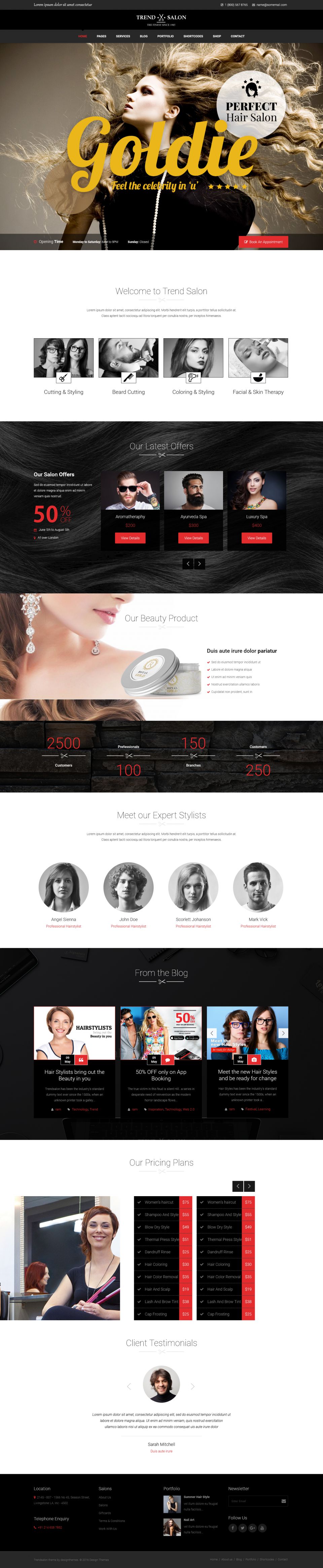 WordPress template ThemeForest Trend Salon