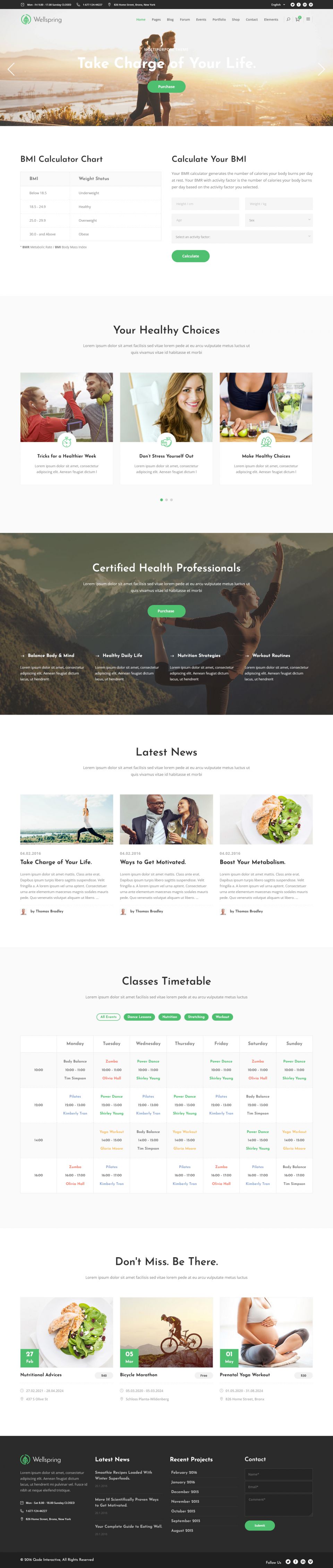 WordPress template ThemeForest Wellspring