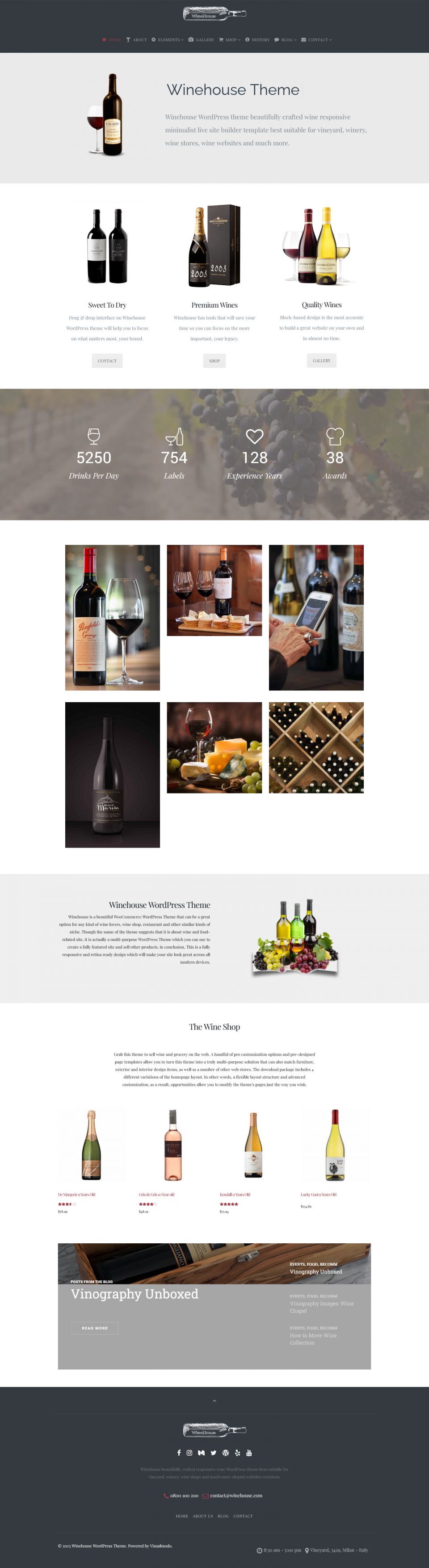 WordPress template Visualmodo Winehouse