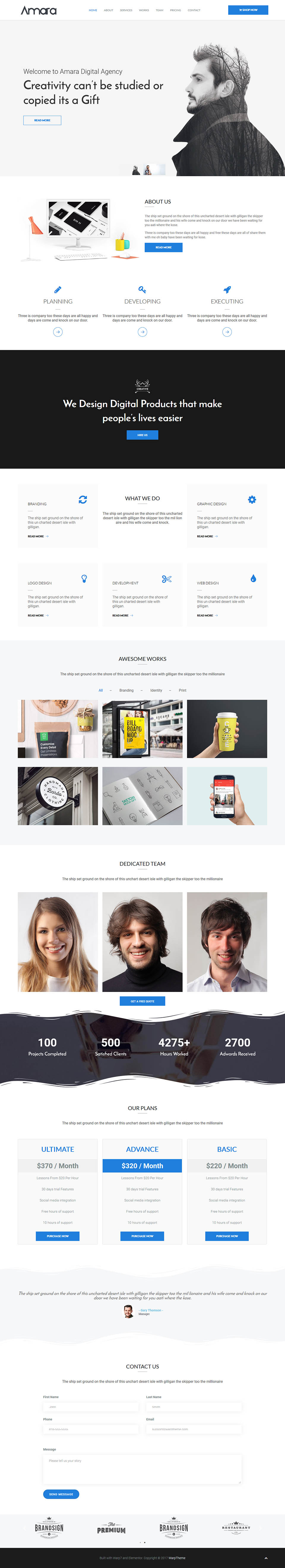 WordPress template WarpTheme Amara Pro