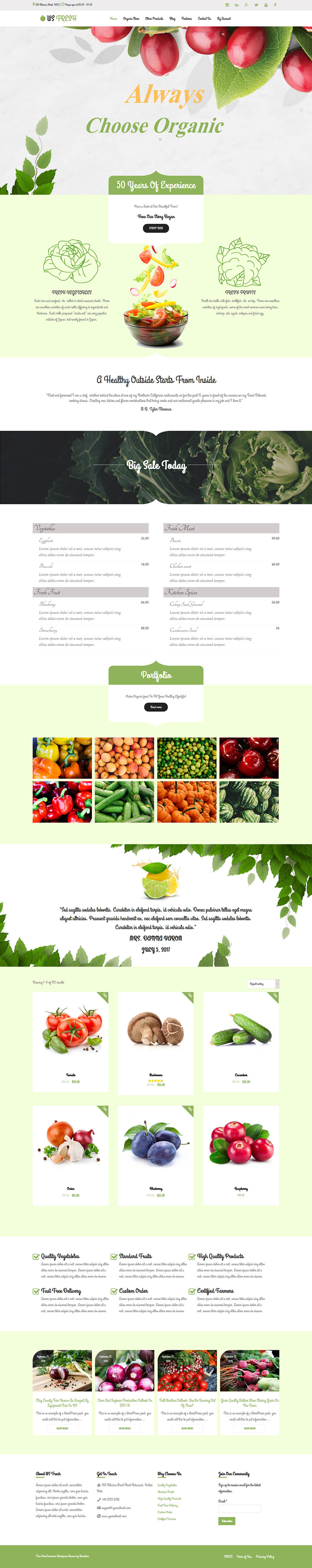 WordPress template WooSkins Fresh