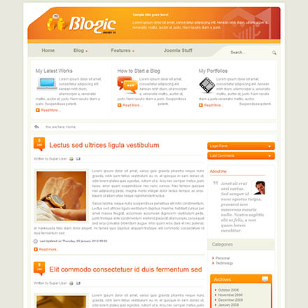 BonusThemes Blogic