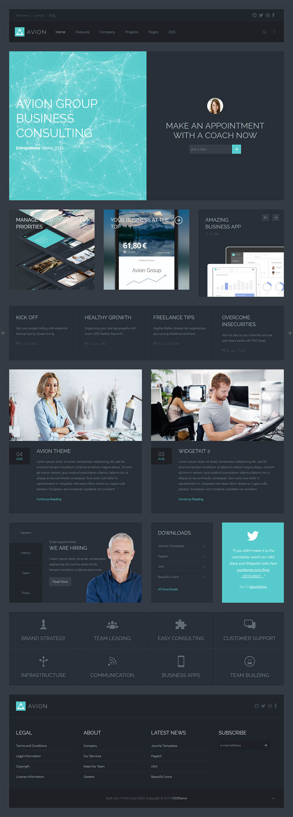 Joomla template YOOtheme Avion